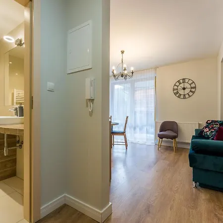 Visitzakopane Lesny Apartment アパート *